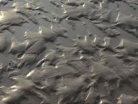 wet sand