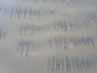 writing in sand2